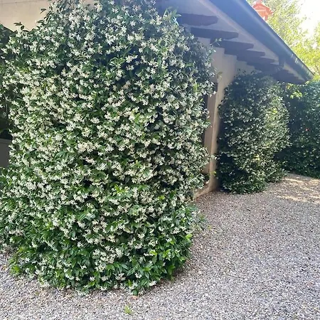 Casa Glicine Incantevole Con Camino *