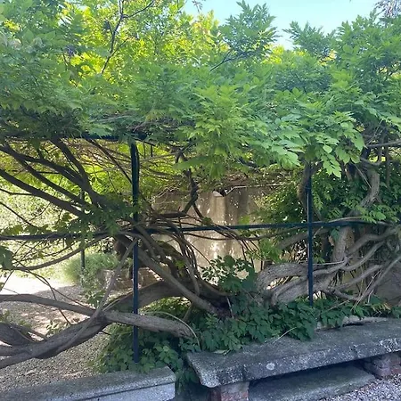 דירה Casa Glicine Incantevole Con Camino *