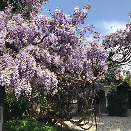 Casa Glicine Incantevole Con Camino
