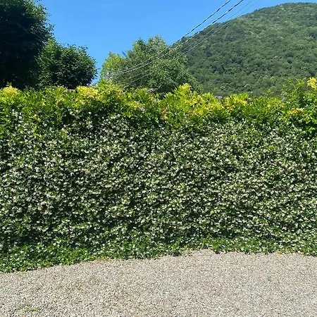 Casa Glicine Incantevole Con Camino Valbrona